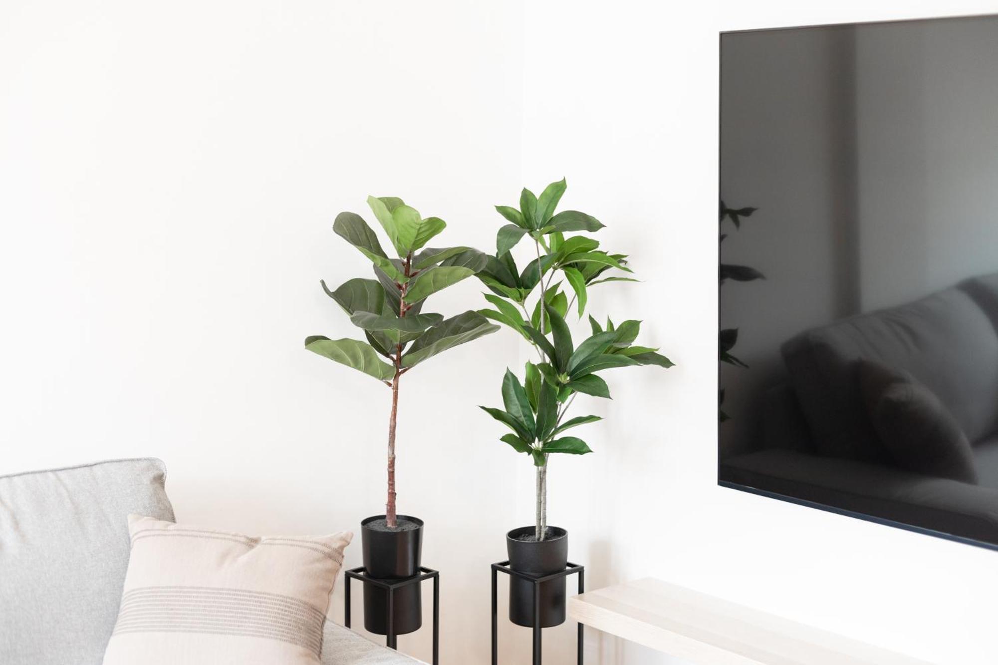 Las Vistas Residencial L Parking Privado Las Palmas de Gran Canaria Ngoại thất bức ảnh